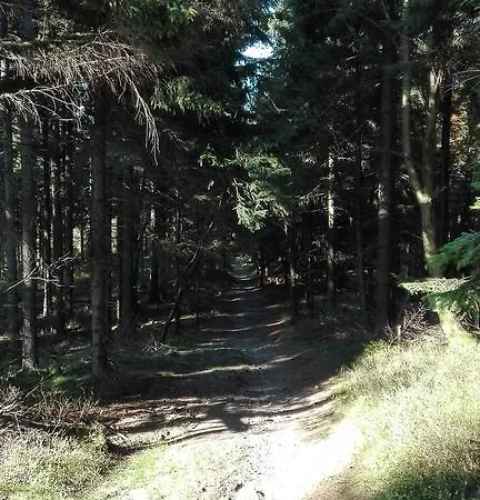 Liberta Pensión Horní Maršov