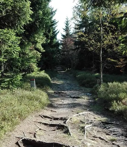 Liberta Konukevi